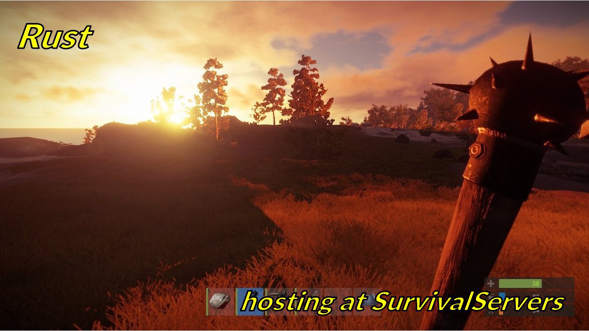 survivalservers.com